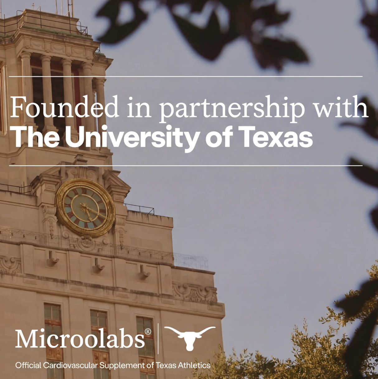 SuperBeets Heart Chews, Nitric Oxide and BP Support